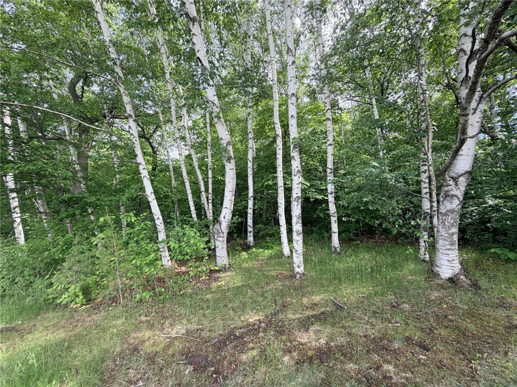 21781 Trestle Ridge Road Albany MN 56307 7045496 image3