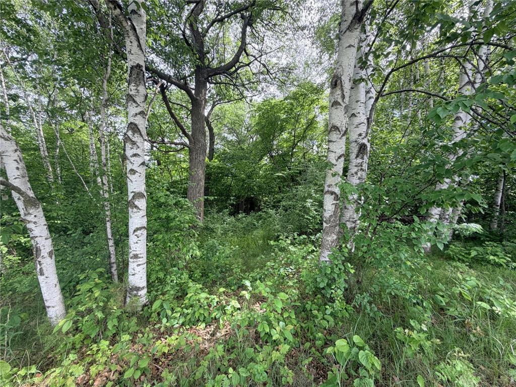 21781 Trestle Ridge Road Albany MN 56307 7045496 image4
