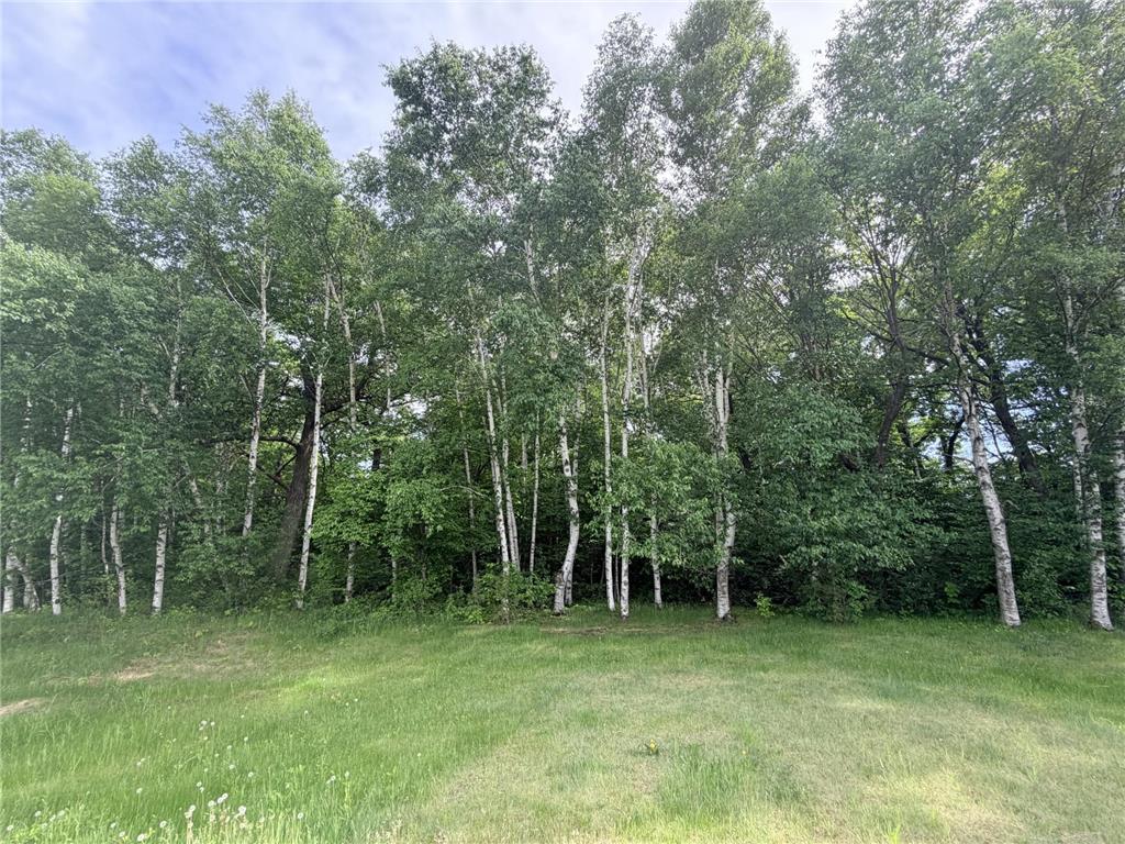 21781 Trestle Ridge Road Albany MN 56307 7045496 image5