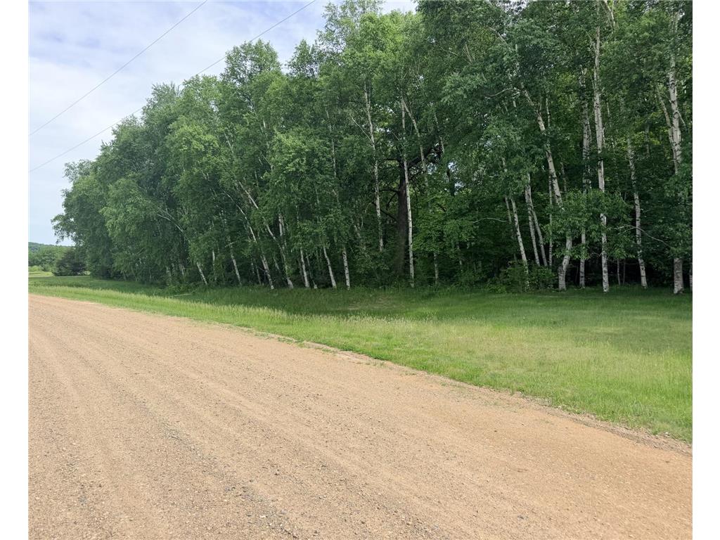 21781 Trestle Ridge Road Albany MN 56307 7045496 image6