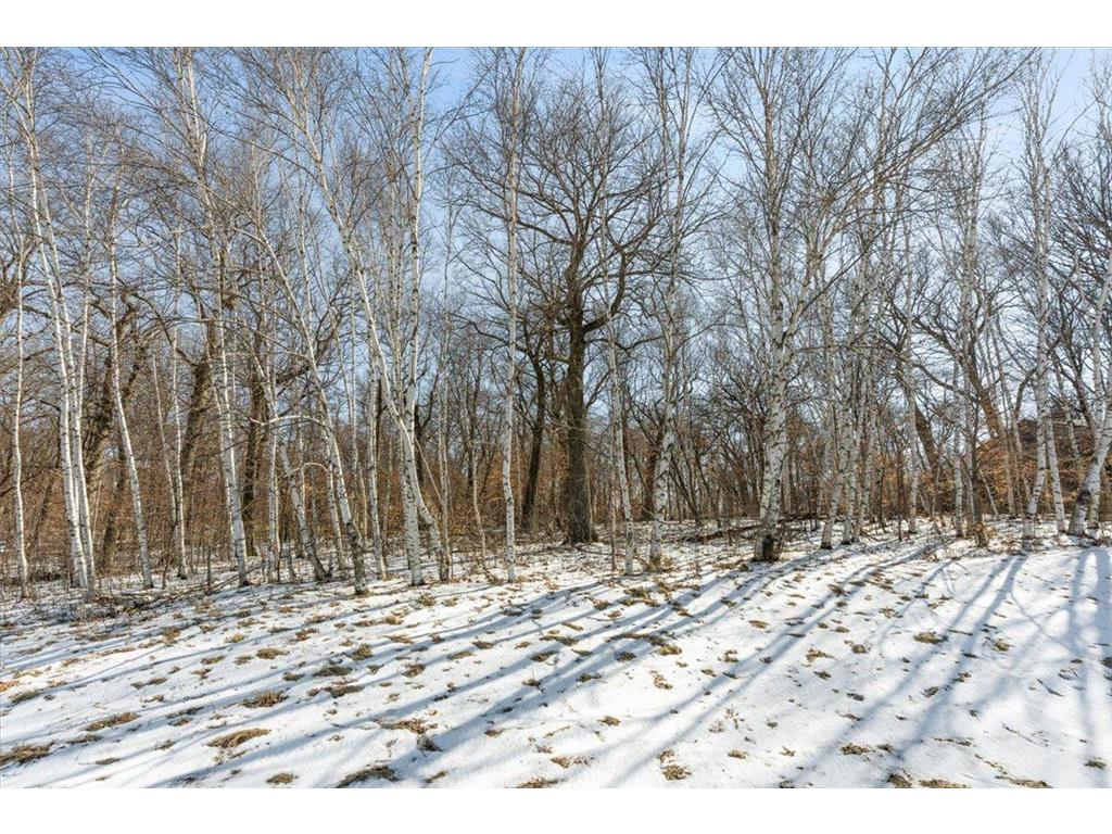 21781 Trestle Ridge Road Albany MN 56307 7045496 image9