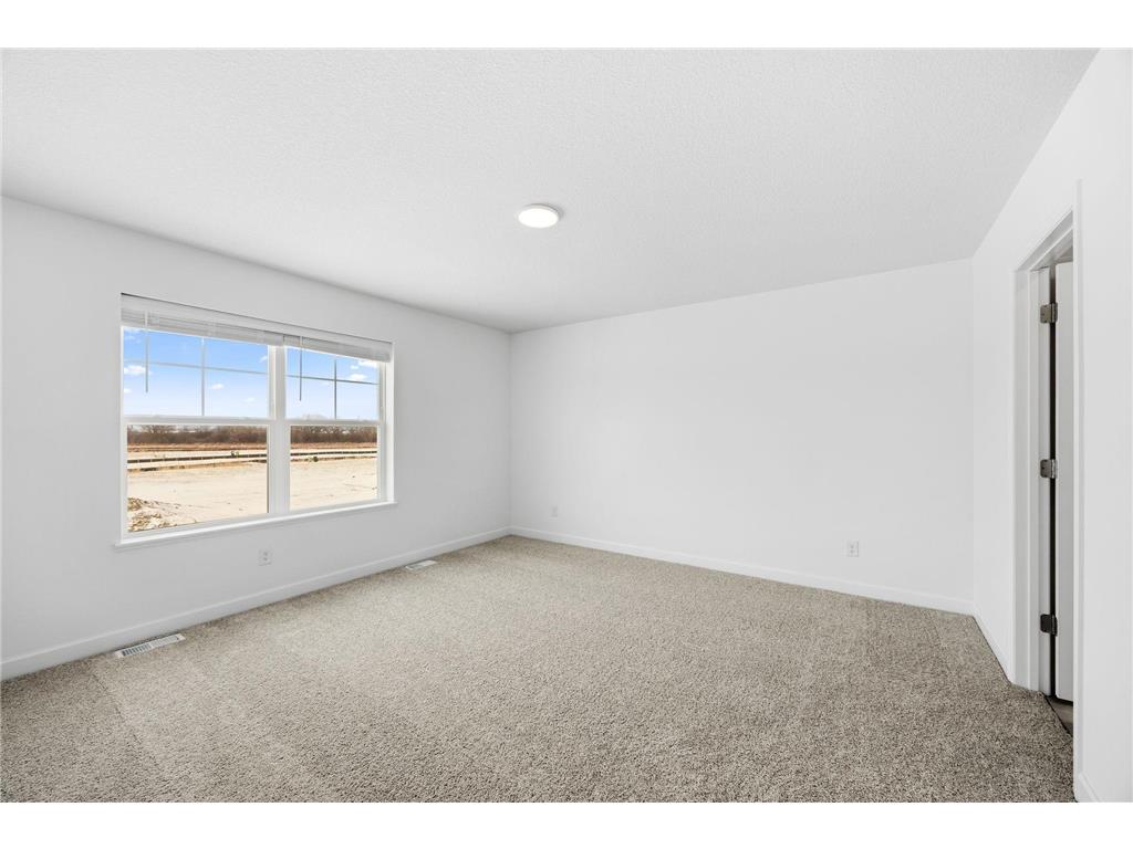 21789 Lilac Drive Farmington MN 55024 6813396 image13