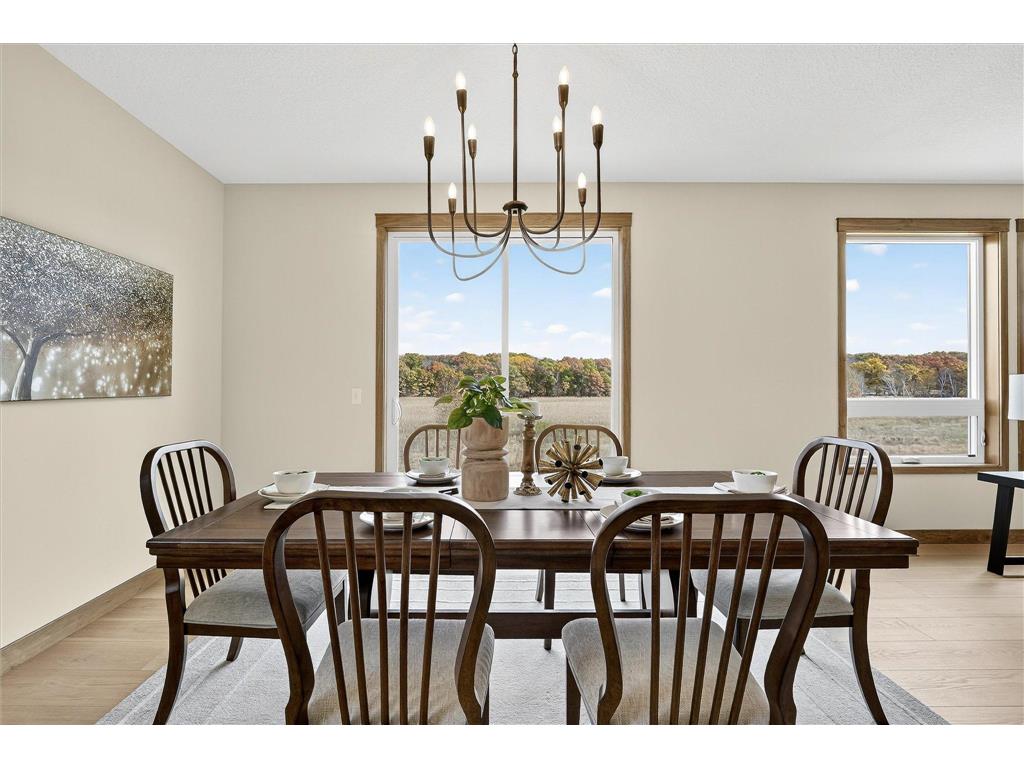 21795 Willys Street NE East Bethel MN 55011 6745891 image25