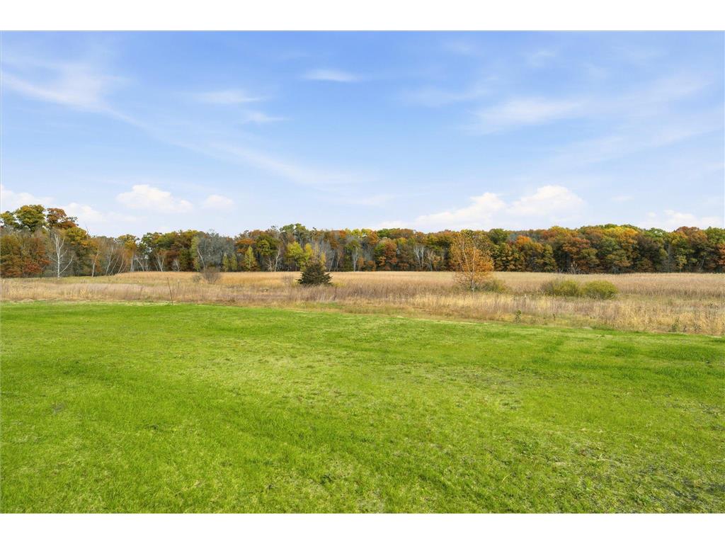 21795 Willys Street NE East Bethel MN 55011 6745891 image3