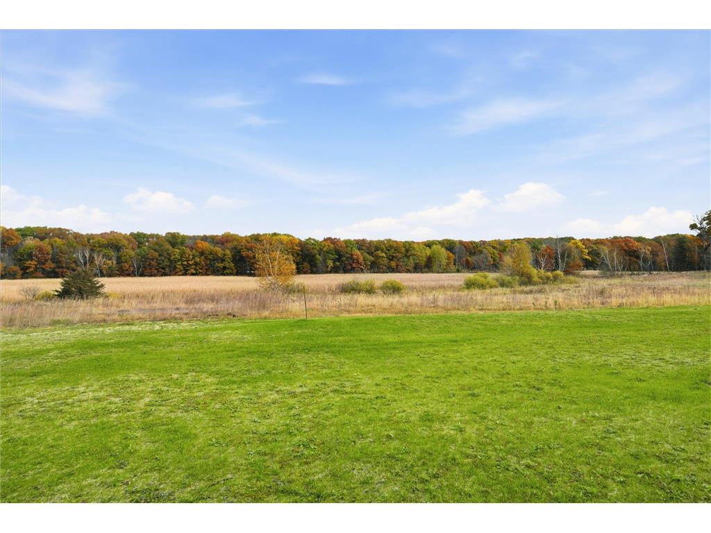 21795 Willys Street NE East Bethel MN 55011 6745891 image4