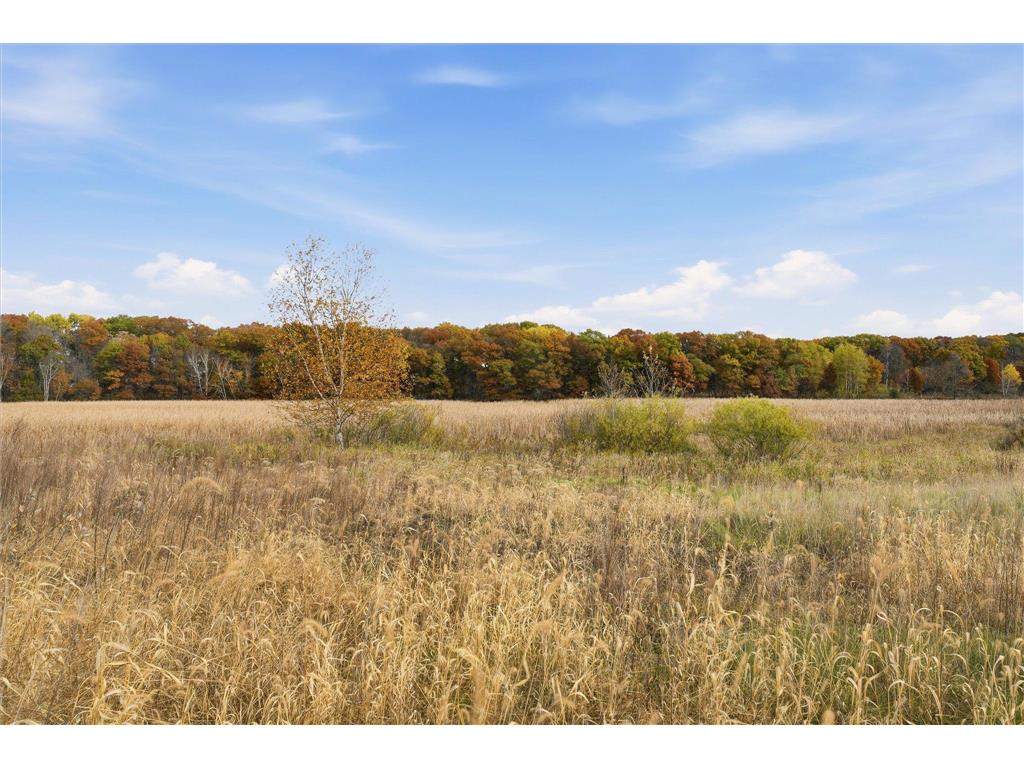 21795 Willys Street NE East Bethel MN 55011 6745891 image43