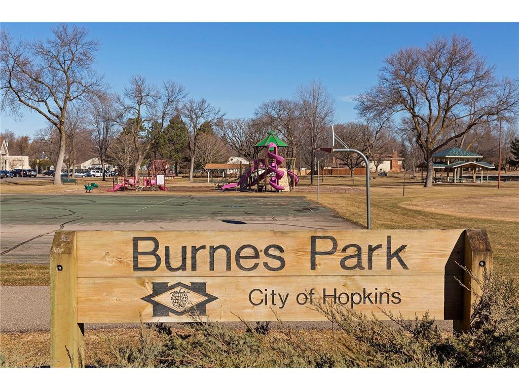 218 11th Avenue N Hopkins MN 55343 6826562 image54
