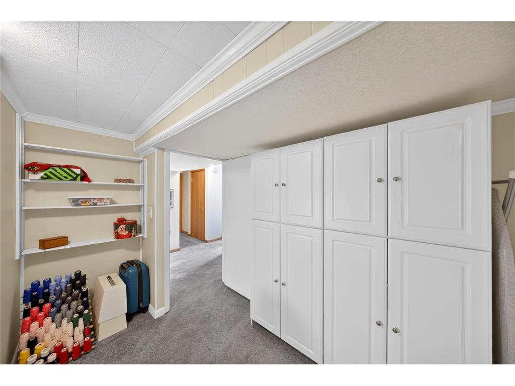 218 5th Avenue NW Byron MN 55920 7053248 image30