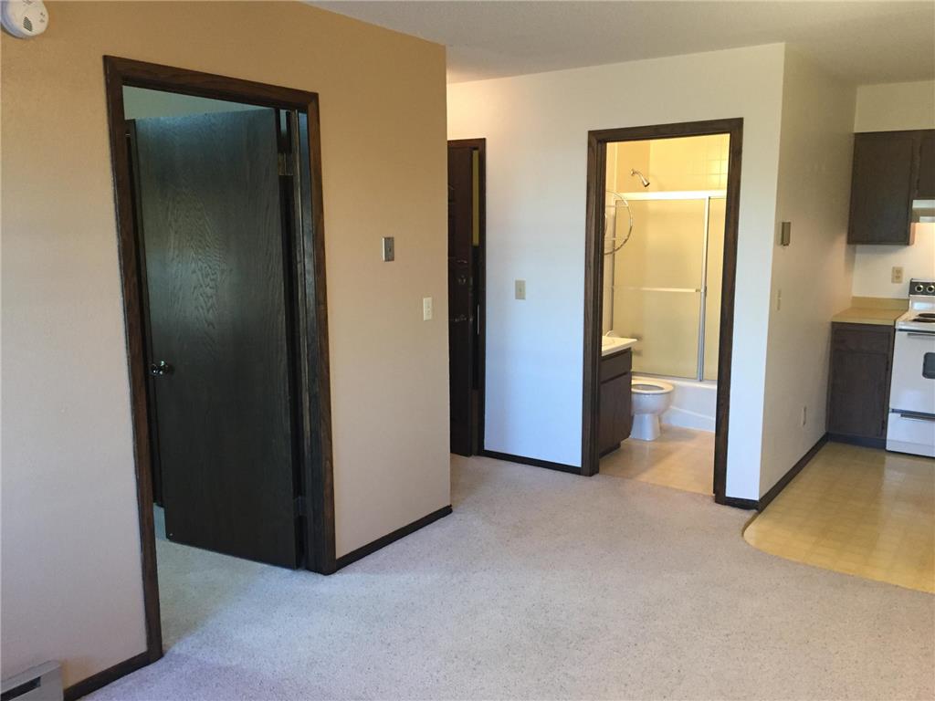 218 Minnesota Avenue NW Bemidji MN 56601 7018698 image43