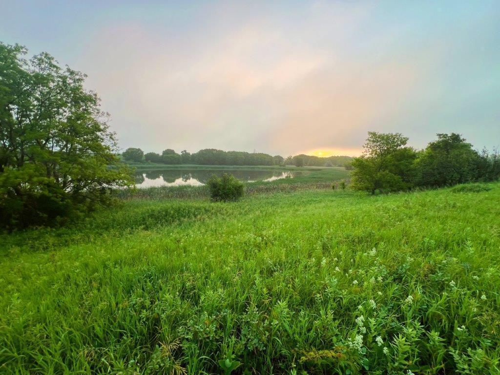 21801 Twin Lakes Rd SW Urness Twp MN 56326 6575955 image1