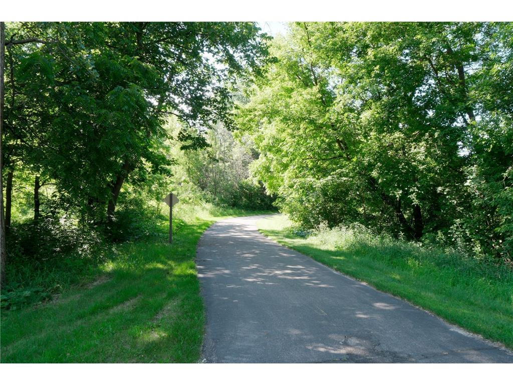 2182 Homestead Trail Medina MN 55356 6747584 image39