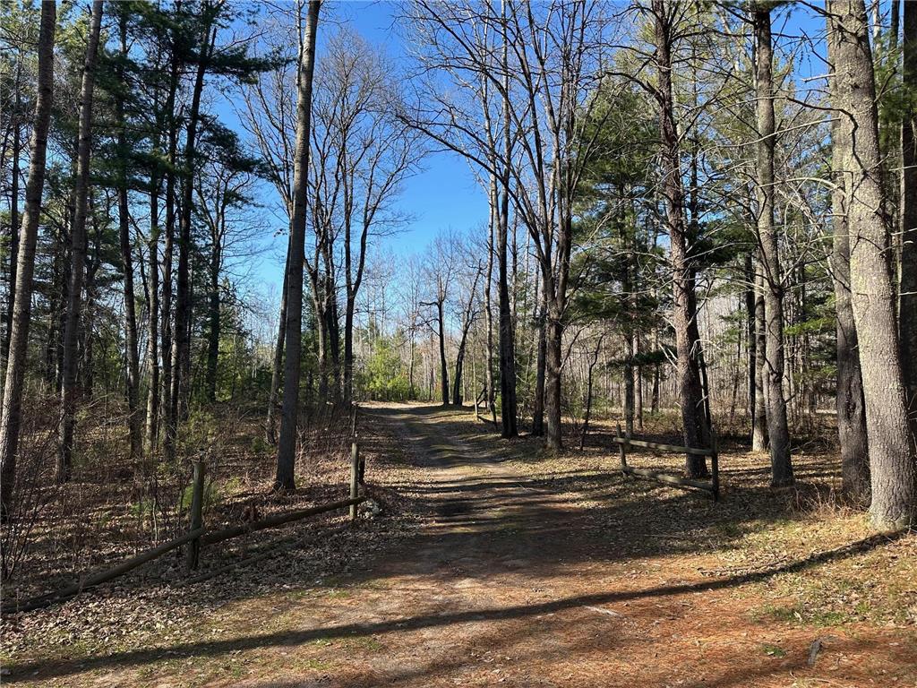 21843 Whitetail Drive Emily MN 56447 6714774 image1