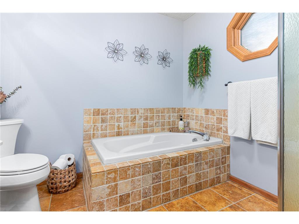 21857 Iden Avenue Place N Forest Lake MN 55025 - Forest 6823332 image17