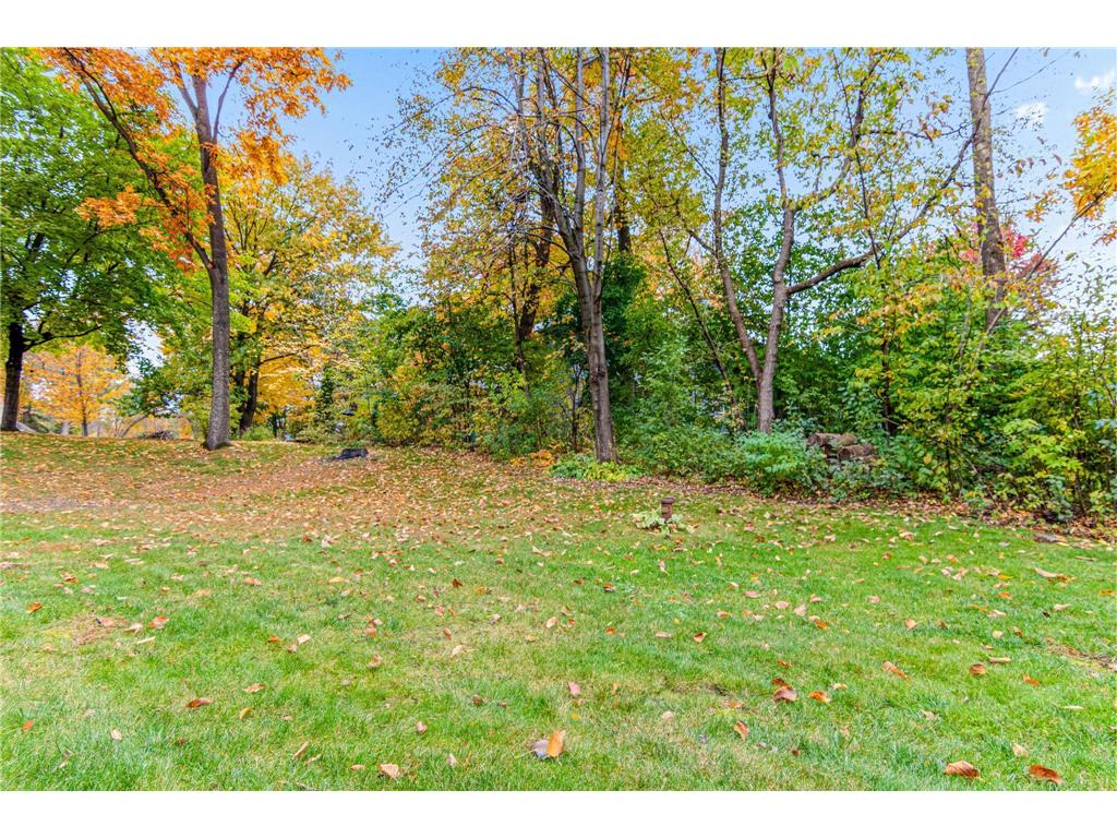 21857 Iden Avenue Place N Forest Lake MN 55025 - Forest 7011202 image27