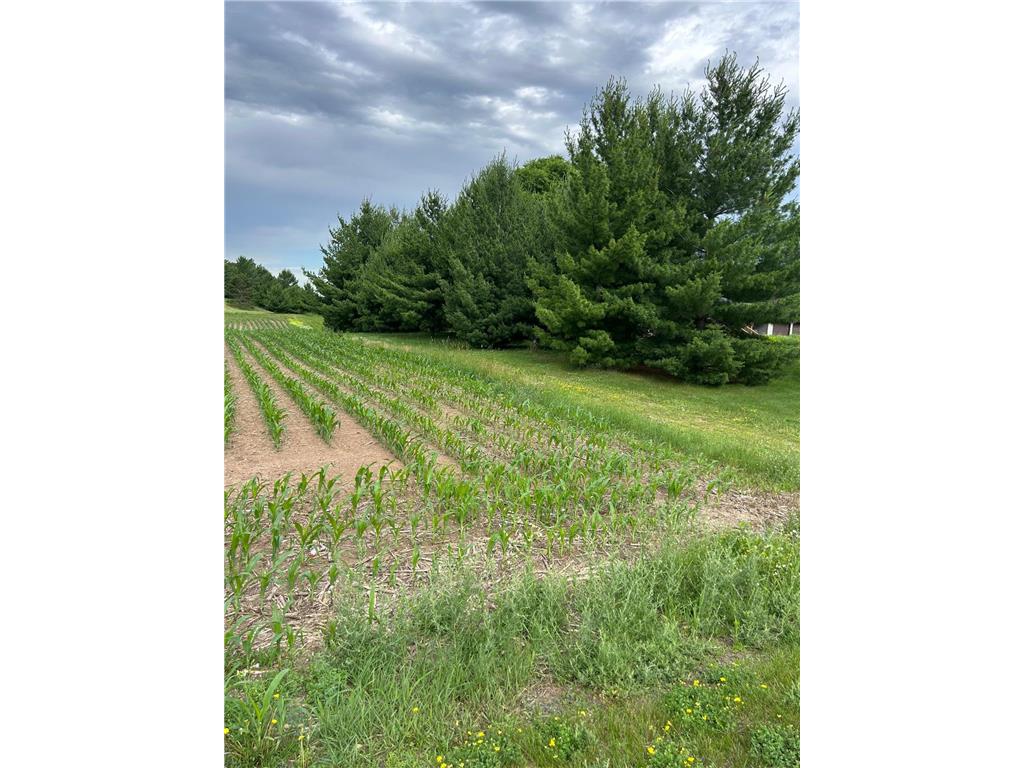 2186 132nd Street Star Prairie WI 54017 6743517 image1