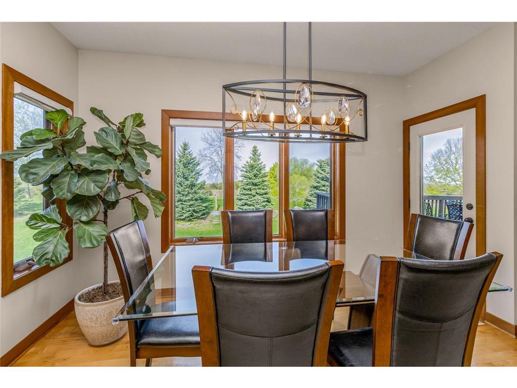 21872 Carrbridge Court Lakeville MN 55044 7068426 image15