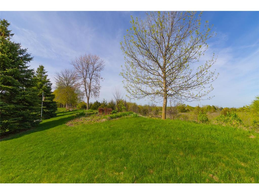 21872 Carrbridge Court Lakeville MN 55044 7068426 image40