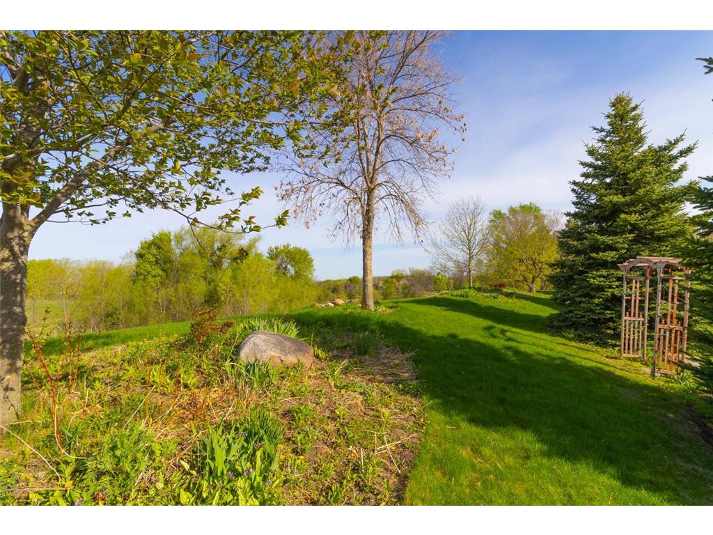 21872 Carrbridge Court Lakeville MN 55044 7068426 image41