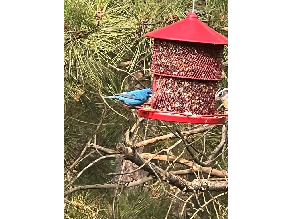 21873 Drake Street NW Oak Grove MN 55011 7018252 image62