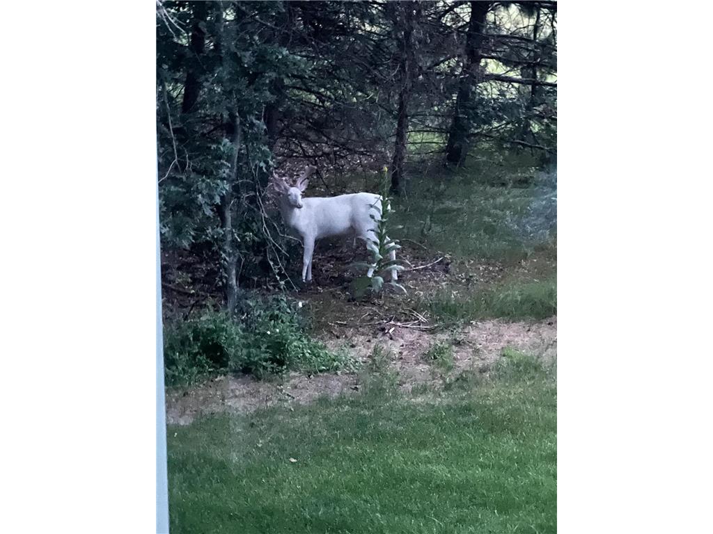 21873 Drake Street NW Oak Grove MN 55011 7018252 image64