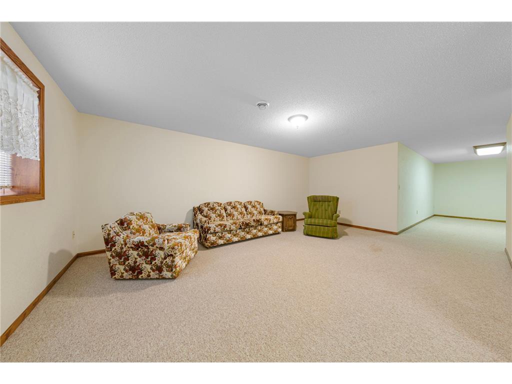 219 1st Street NW New Richland MN 56072 7054287 image36