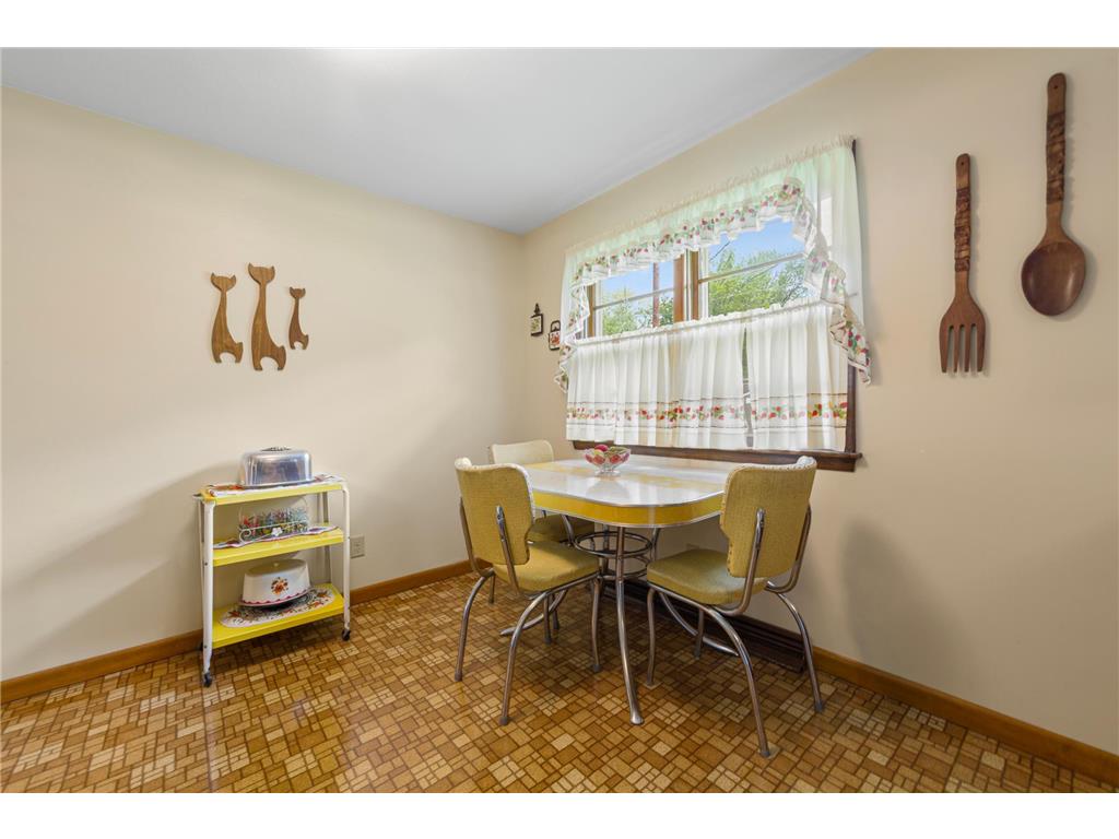 219 Floral Avenue Mankato MN 56001 7087266 image10