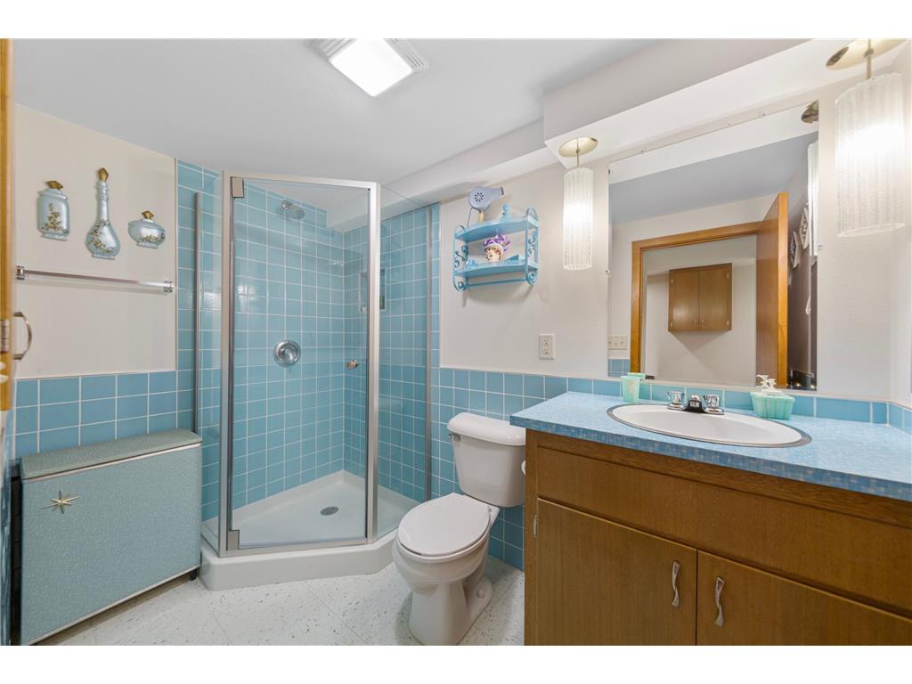 219 Floral Avenue Mankato MN 56001 7087266 image31