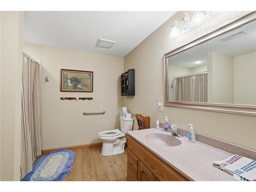 219 Main Street E Clarks Grove MN 56016 7044845 image27