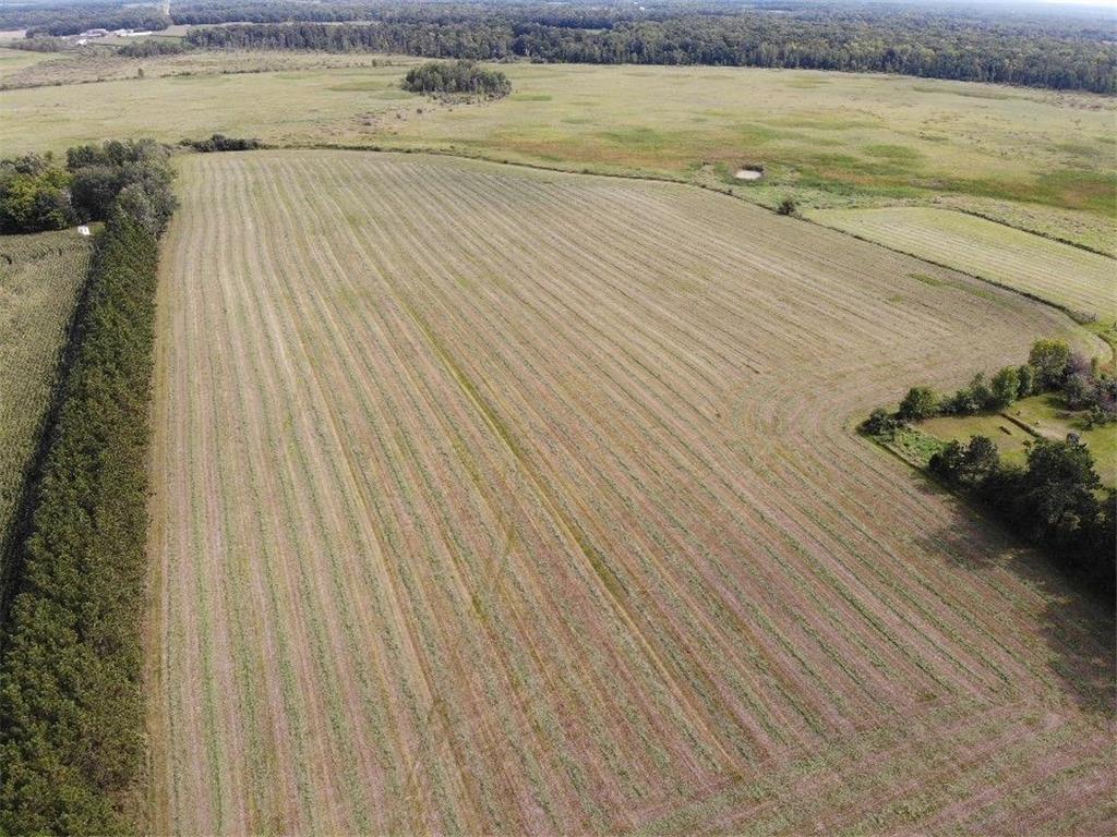 21900 US Highway 71 Leaf River Twp MN 56482 6761560 image3