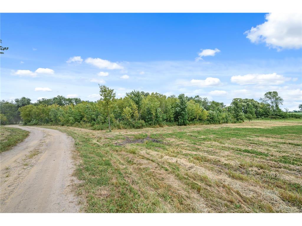 2191 20th Street SE Buffalo MN 55313 - Dean 6671784 image10