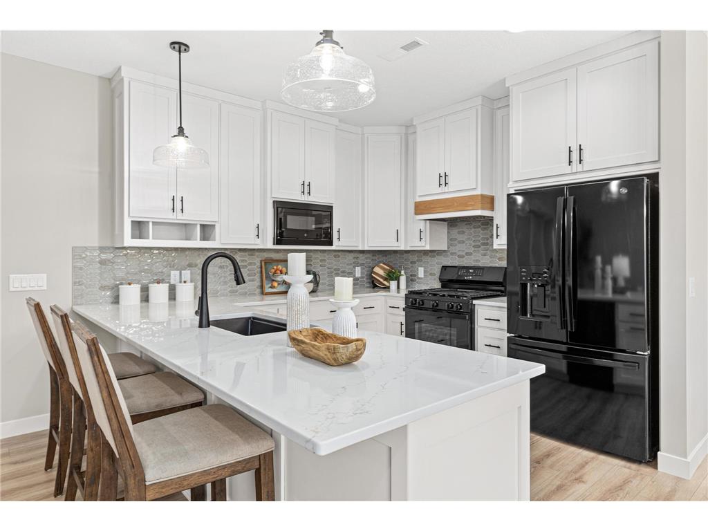 21936 Willys Street NE Cedar MN 55011 7073613 image2