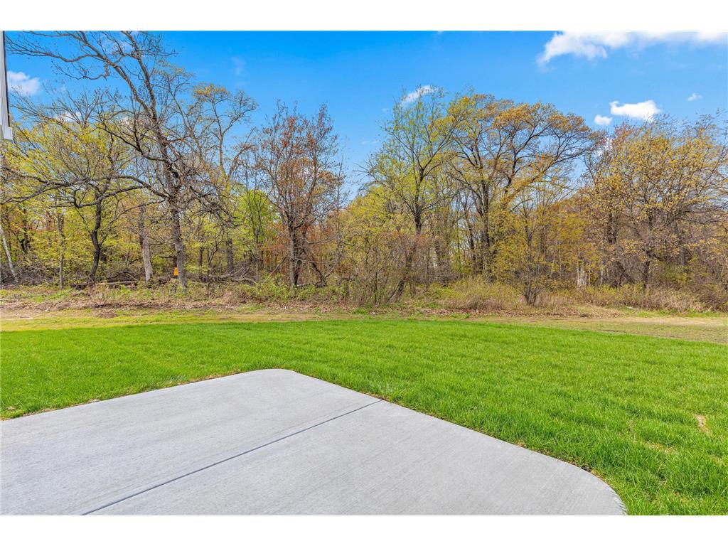 21936 Willys Street NE Cedar MN 55011 7073613 image28
