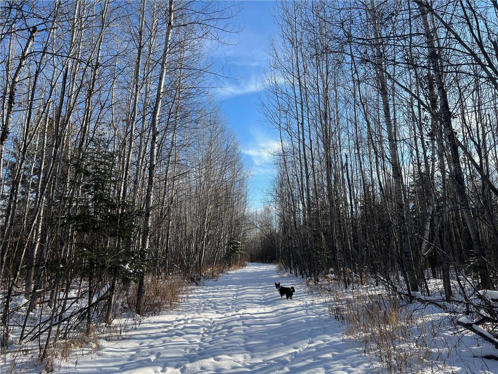 2194 Yoki Road N Zim MN 55738 6825389 image10