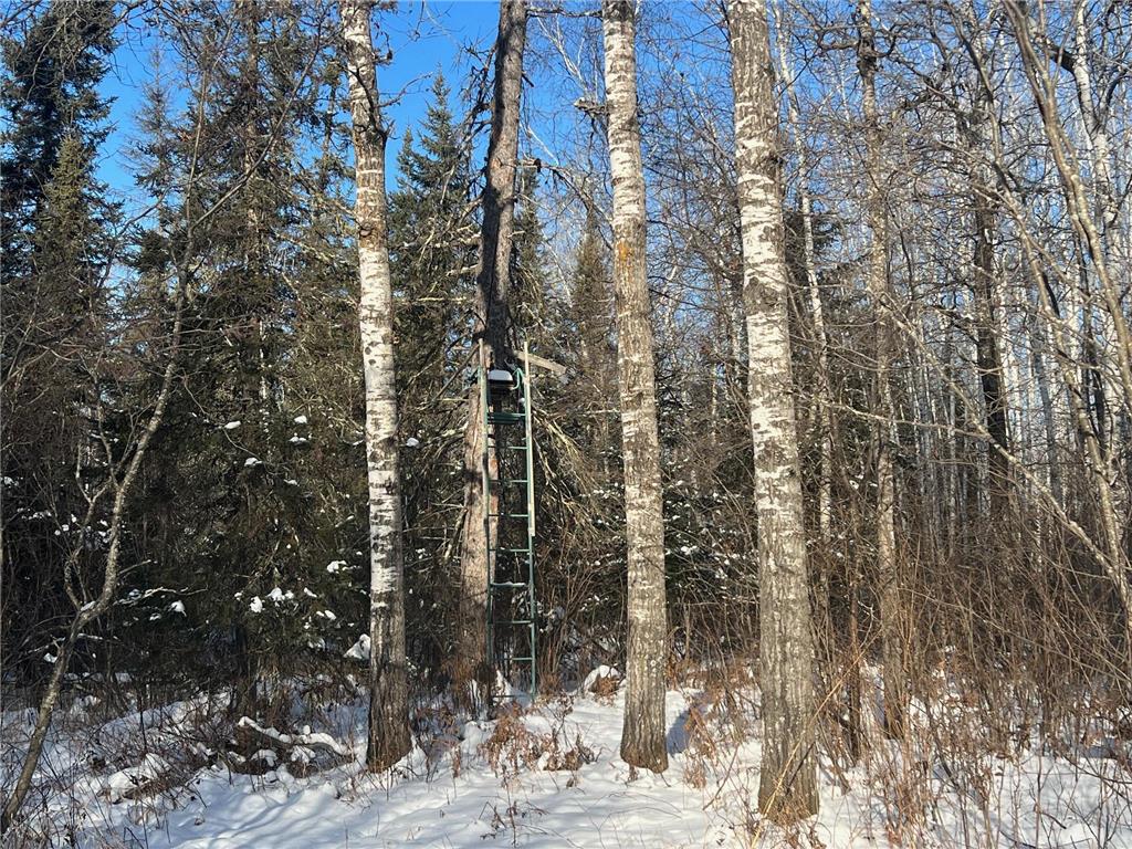 2194 Yoki Road N Zim MN 55738 6825389 image26