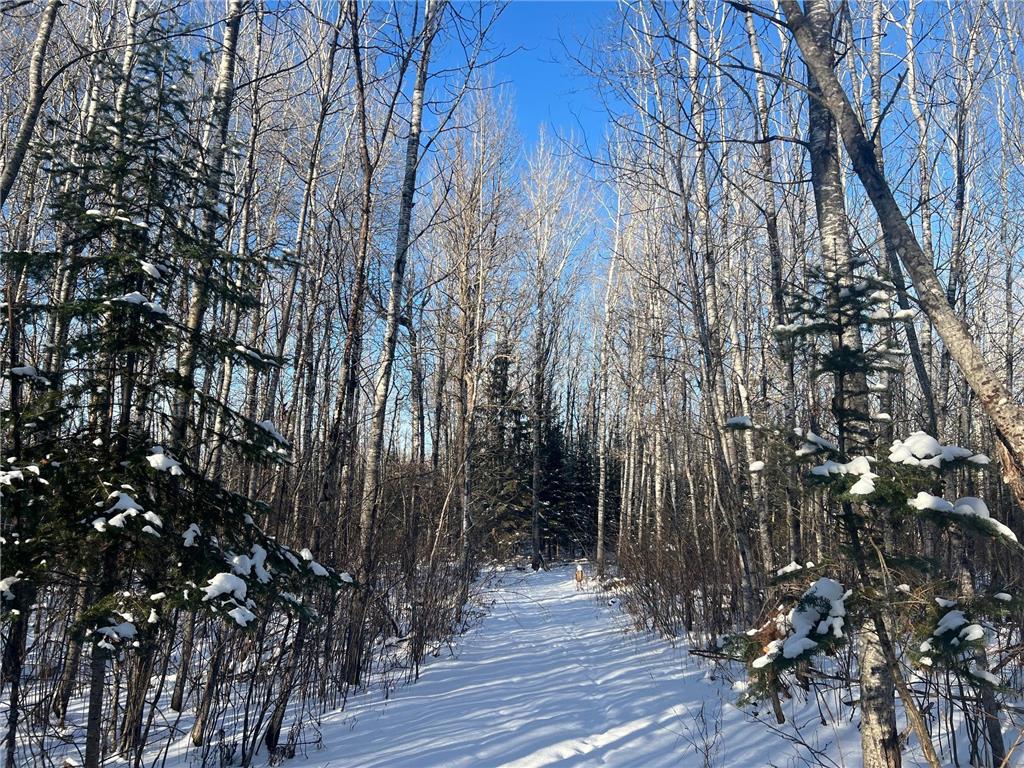 2194 Yoki Road N Zim MN 55738 6825389 image28