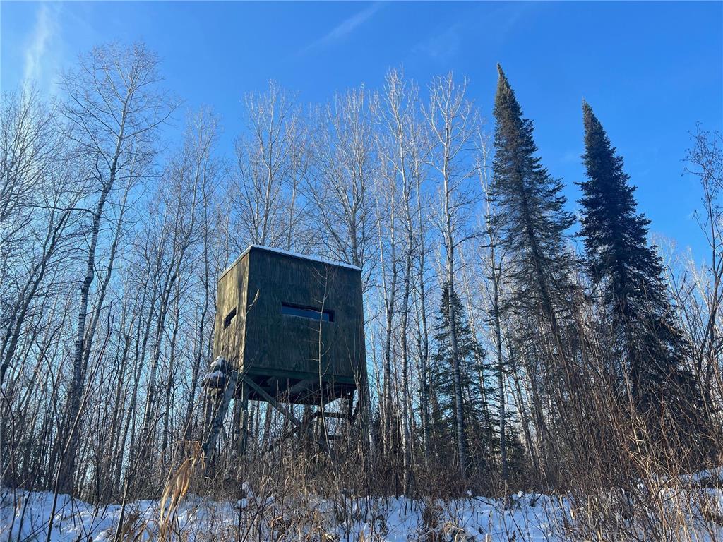 2194 Yoki Road N Zim MN 55738 6825389 image29