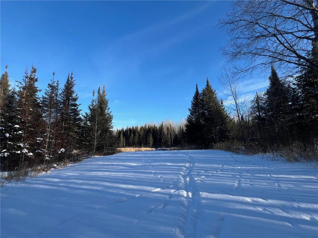 2194 Yoki Road N Zim MN 55738 6825389 image30