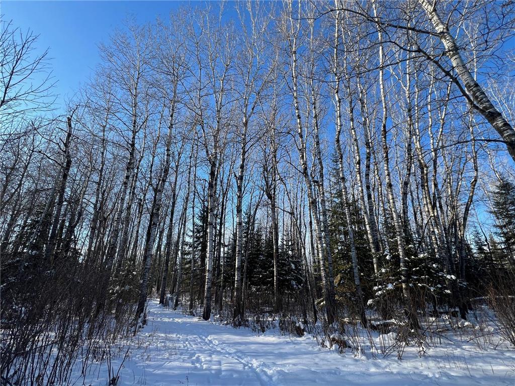 2194 Yoki Road N Zim MN 55738 6825389 image31