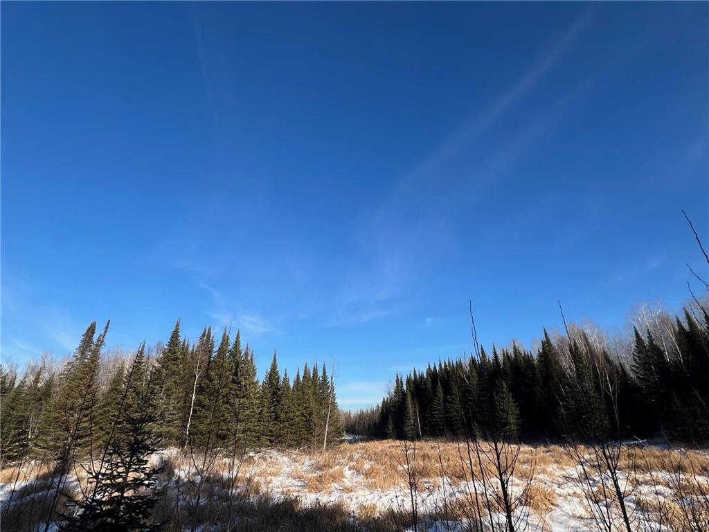 2194 Yoki Road N Zim MN 55738 6825389 image32