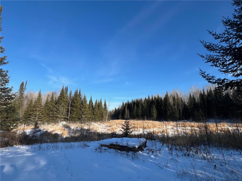 2194 Yoki Road N Zim MN 55738 6825389 image33