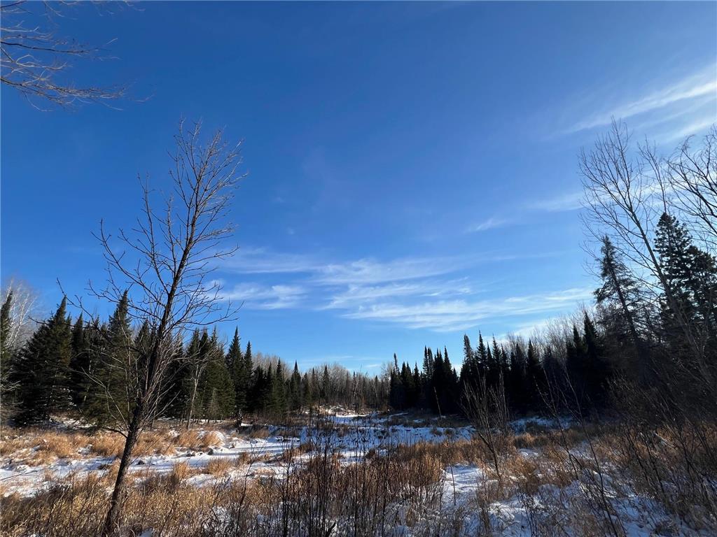 2194 Yoki Road N Zim MN 55738 6825389 image34