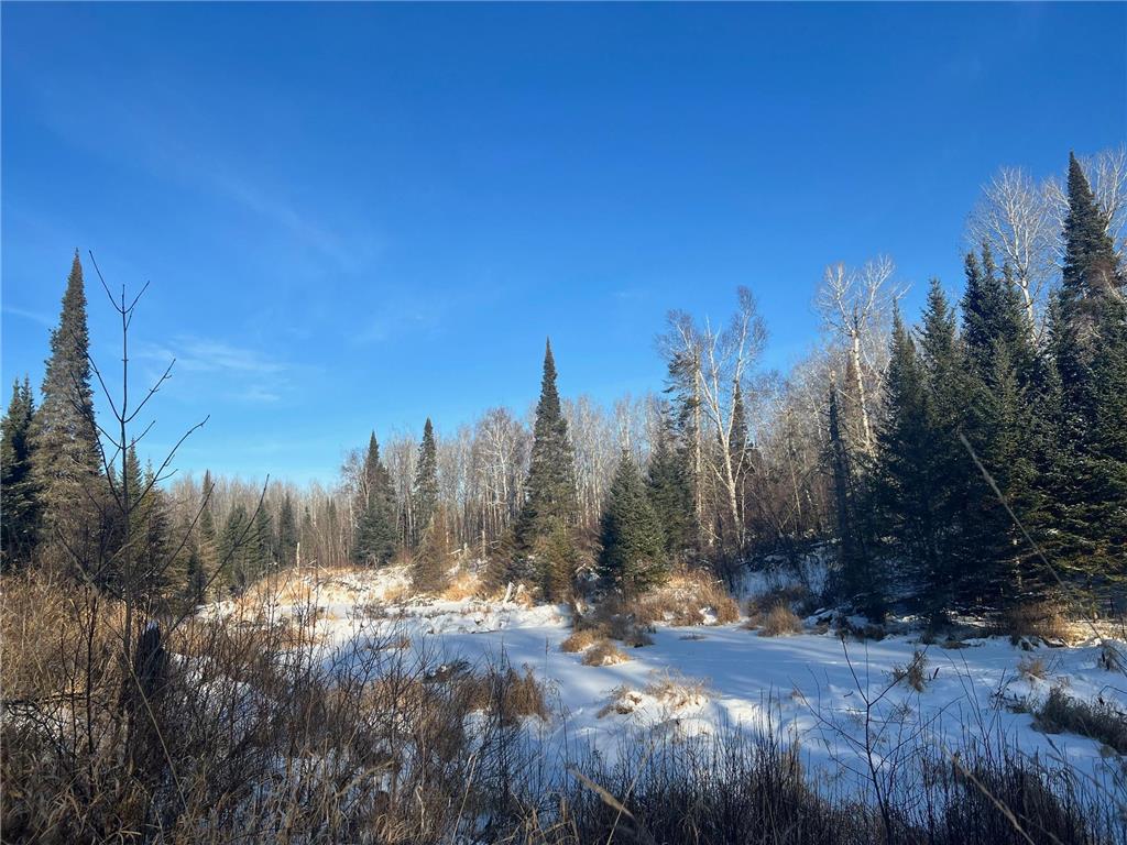 2194 Yoki Road N Zim MN 55738 6825389 image36