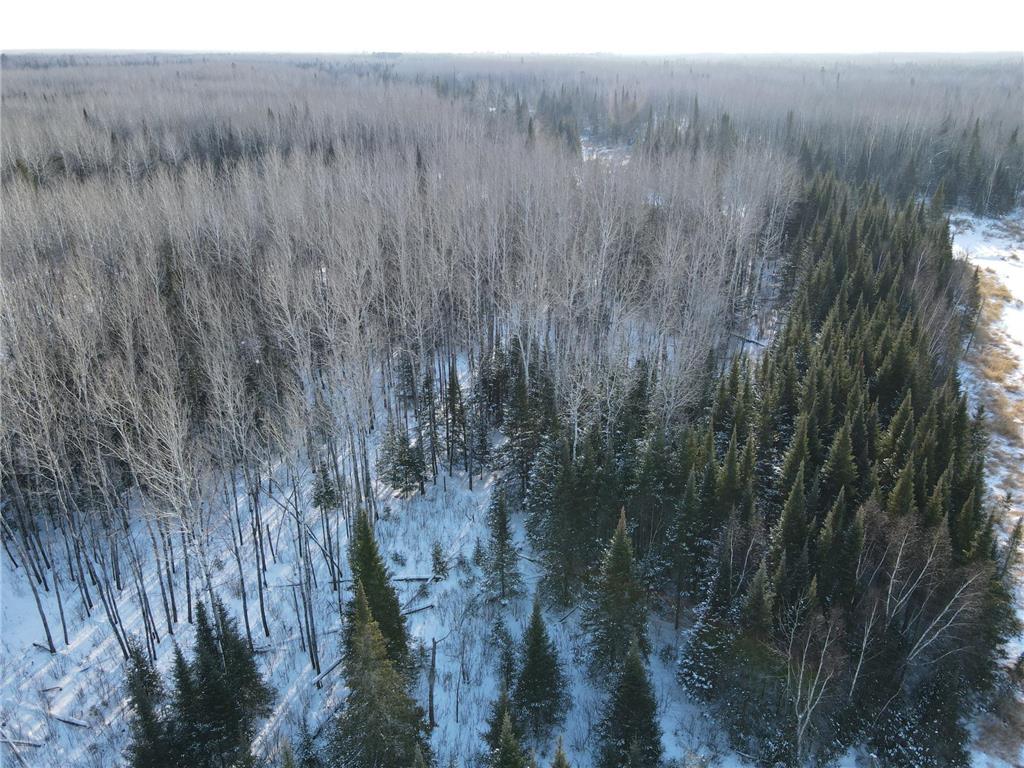 2194 Yoki Road N Zim MN 55738 6825389 image41