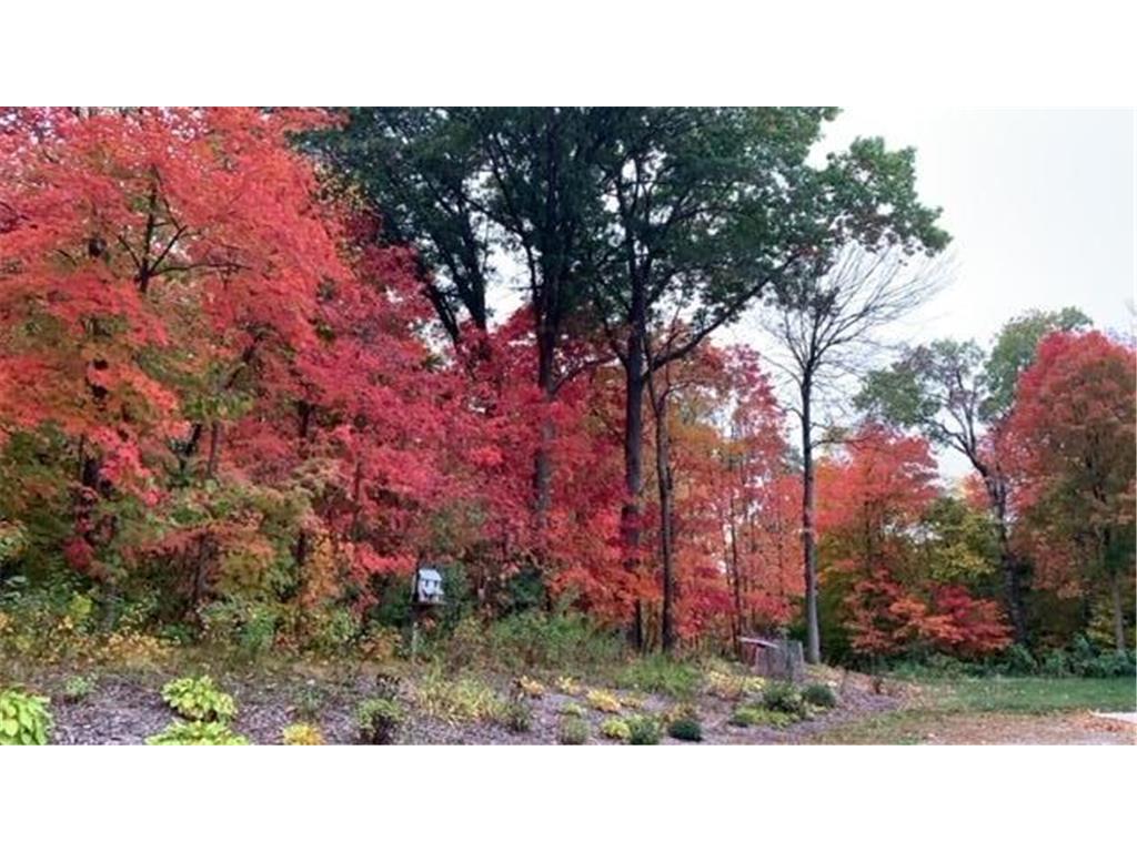 21945 County 38 Reynolds Twp MN 56347 7071686 image100