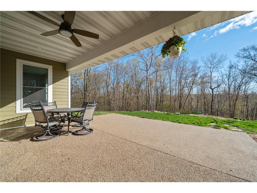 21945 County 38 Reynolds Twp MN 56347 7071686 image19