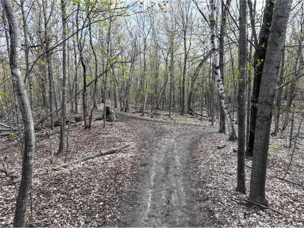 21945 County 38 Reynolds Twp MN 56347 7071686 image76