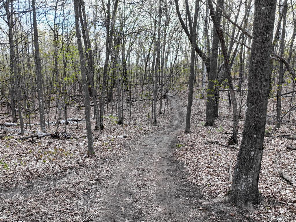 21945 County 38 Reynolds Twp MN 56347 7071686 image77