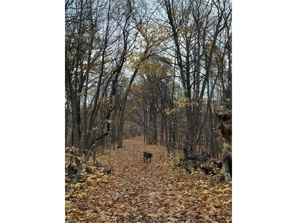 21945 County 38 Reynolds Twp MN 56347 7071686 image78