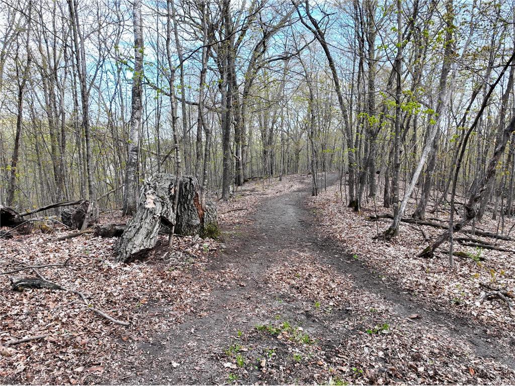 21945 County 38 Reynolds Twp MN 56347 7071686 image79
