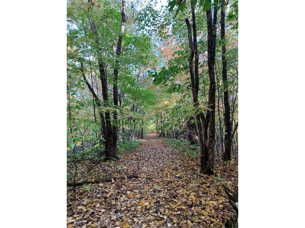 21945 County 38 Reynolds Twp MN 56347 7071686 image8